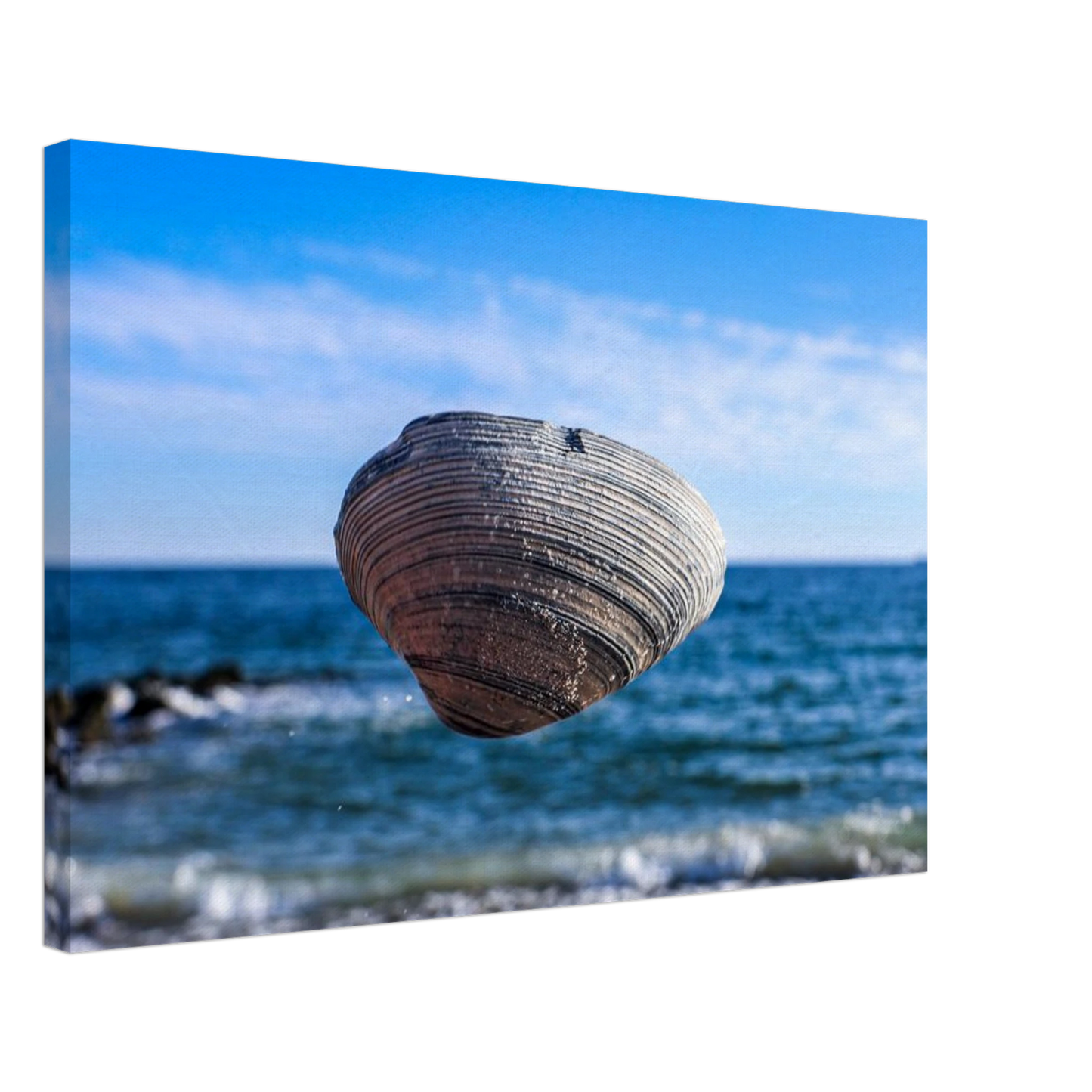 A floating seashell captured in timeless harmony with the ocean.