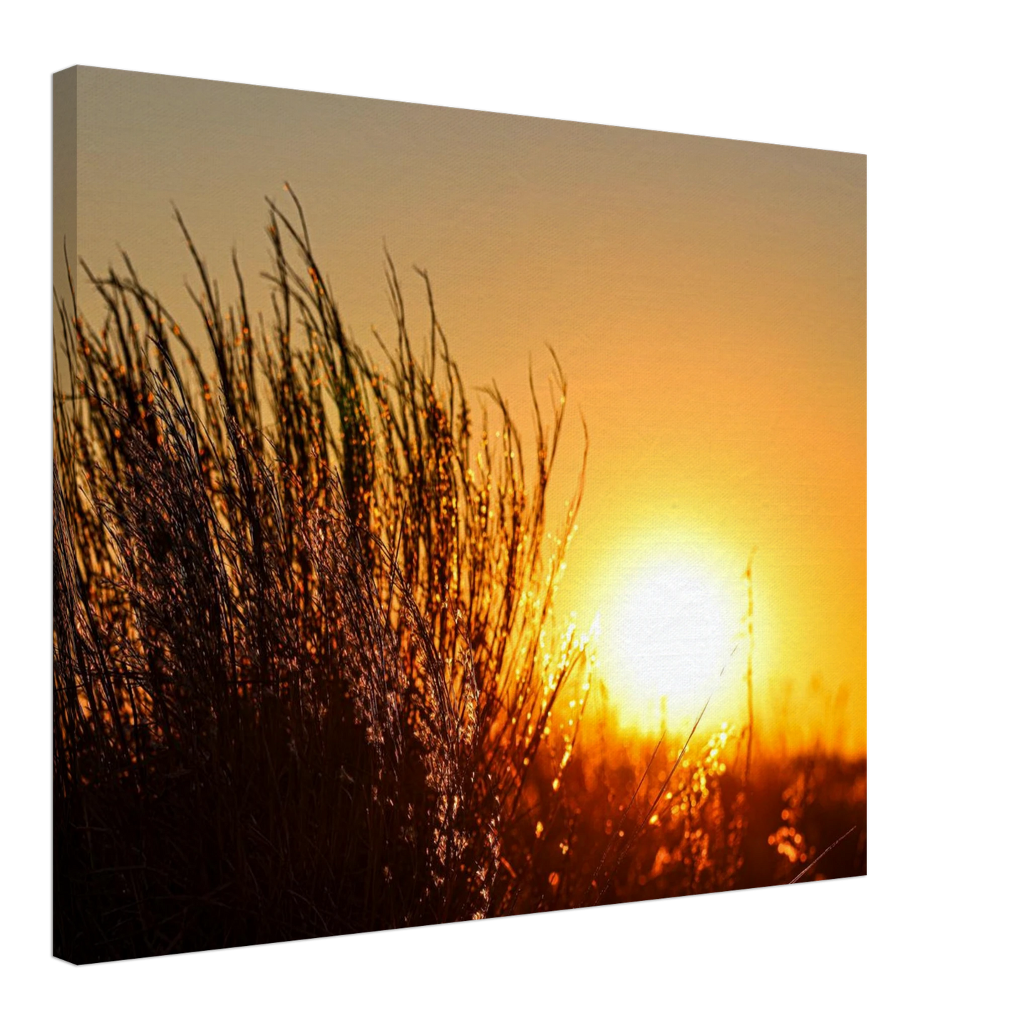 53463c9b-961c-4d04-bb6d-c82f1fee66d5