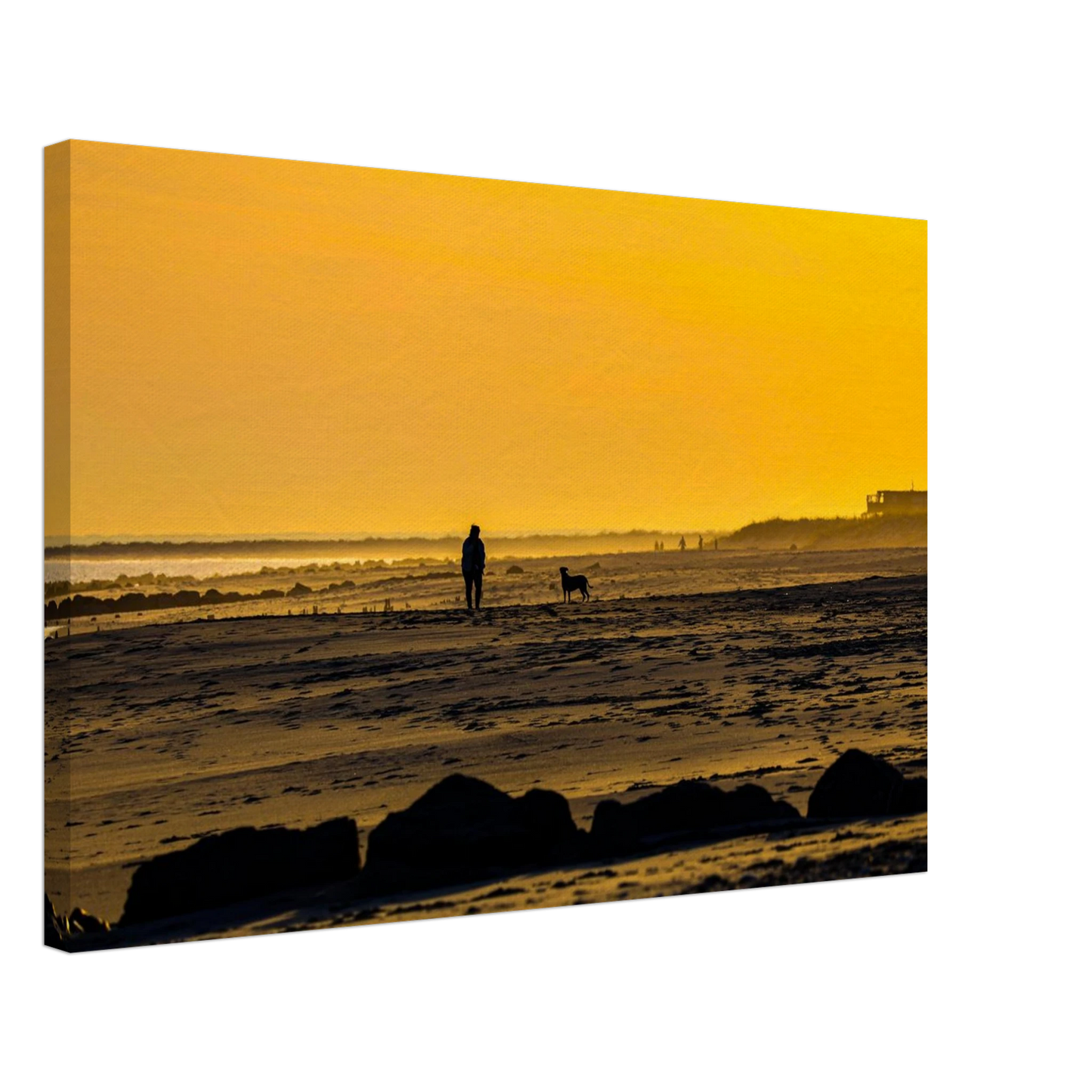 Serene silhouettes at sunset.