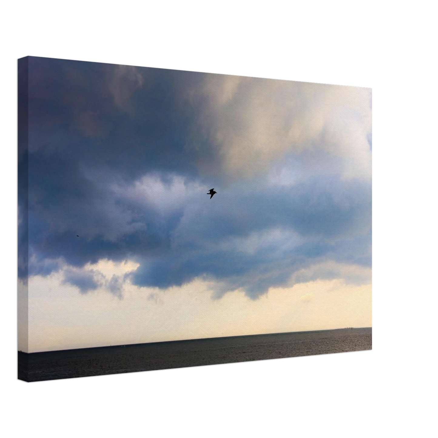 Storm kissed skies and a solidary bird. Art for walls that deserve presence.